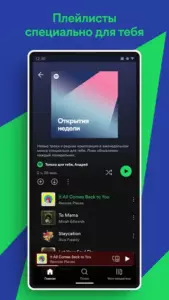 Spotify Premium