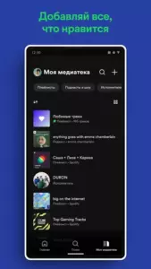 Spotify Premium